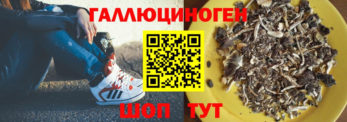 Галлюциногенные грибы Cubensis  наркота  Ипатово  Вход с VPN 